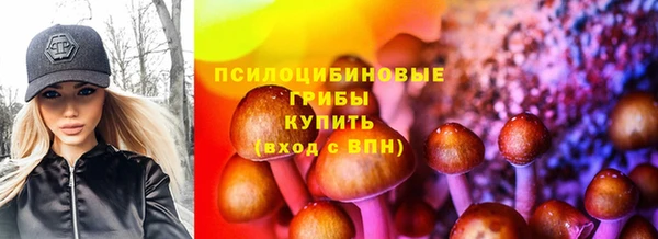 крисы Балахна